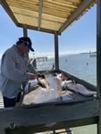 Fishing Trip to Laguna Madre